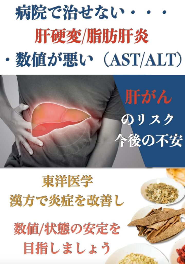 病院では治療が難しい脂肪肝炎、肝硬変や肝臓のAST /ALTなどの数値が悪い場合漢方でケアできる場合があります。