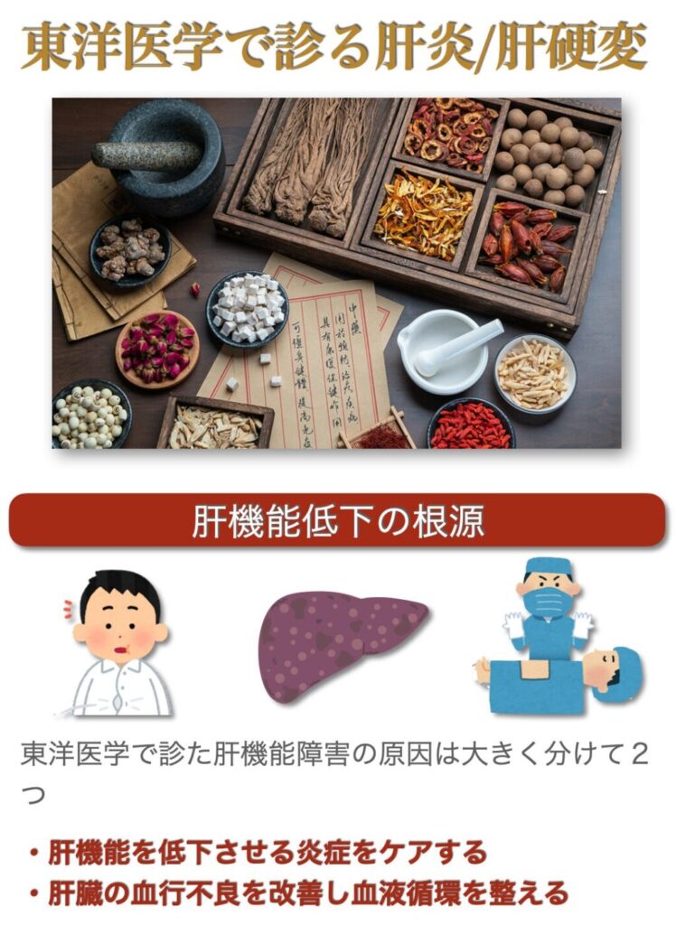 漢方東洋医学で診る肝炎/肝硬変
漢方を扱う東洋医学では肝機能障害に対するアプローチは
・炎症のケア
・肝臓の血流改善
を中心に組み立てます。